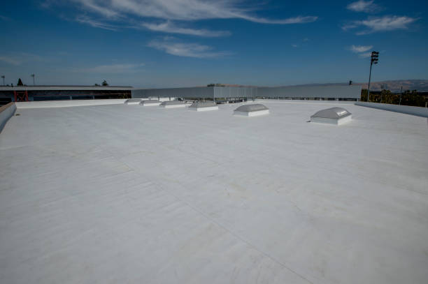 Best Rubber Roofing (EPDM, TPO)  in Argo, AL