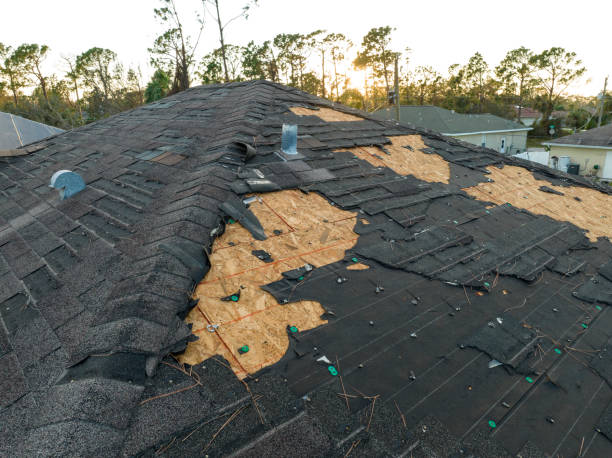 Trusted Argo, AL Roofing Service Experts